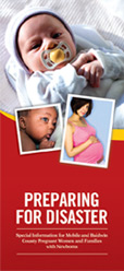 Preparing for Disaster Brochure